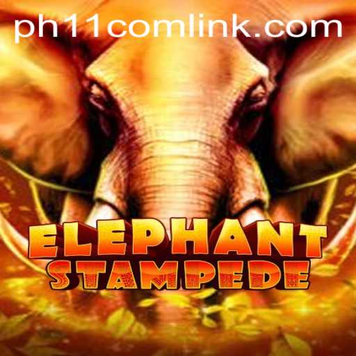 Exploring ElephantStampede: A Thrilling Adventure
